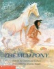 The mud pony - a traditional Skidi Pawnee tale (Paperback) - Caron Lee Cohen Photo