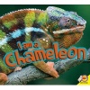 I Am a Chameleon (Paperback) - Aaron Carr Photo