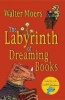 The Labyrinth of Dreaming Books (Paperback) - John Brownjohn Photo