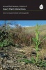 Annual Plant Reviews - Insect-plant Interactions (Hardcover, Volume 47) - Claudia Voelckel Photo