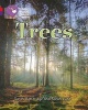 Collins Big Cat Phonics Progress - Trees: Band 02B Red B/Band 08 Purple (Paperback) - Sarah Betteridge Photo