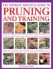 Pruning - Training and Topiary (Paperback) - Richard Bird Photo