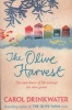 The Olive Harvest - A Memoir of Love, Old Trees, and Olive Oil (Paperback) - Carol Drinkwater Photo