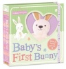 Baby's First Bunny (Soft toy) - Sarah Ward Photo