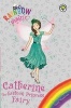 Catherine the Fashion Princess Fairy (Paperback) - Daisy Meadows Photo