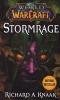 World of Warcraft: Stormrage (Paperback) - Richard A Knaak Photo