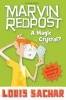 A Magic Crystal? (Paperback) - Louis Sachar Photo