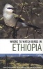 Where to Watch Birds in Ethiopia (Paperback) - Claire Spottiswoode Photo