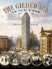 The Gilded Age in New York, 1870 - 1910 (Hardcover) - Esther Crain Photo