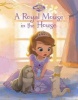 Disney Junior Sofia the First a Royal Mouse in the House (Board book) - Parragon Books Ltd Photo