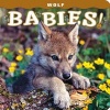 Wolf Babies! (Board book) - Lisa Husar Photo