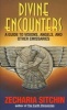 Divine Encounters - A Guide to Visions, Angels, and Other Emissaries (Paperback) - Zecharia Sitchin Photo