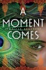 A Moment Comes (Hardcover) - Jennifer Bradbury Photo