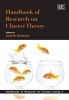 Handbook of Research on Cluster Theory (Paperback) - Charlie Karlsson Photo