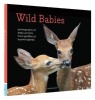 Wild Babies - Photographs of Baby Animals from Giraffes to Hummingbirds (Hardcover) - Traer Scott Photo