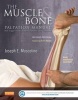 The Muscle and Bone Palpation Manual with Trigger Points, Referral Patterns and Stretching (Paperback, 2nd Revised edition) - Joseph E Muscolino Photo