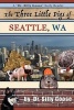 The Three Little Pigs of Seattle, Wa (Paperback) - Dr Silly Goose Photo