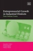 Entrepreneurial Growth in Industrial Districts - Four Italian Cases (Hardcover) - Fernando G Alberti Photo