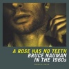 A Rose Has No Teeth - Bruce Nauman in the 1960s (Hardcover) - Constance M Lewallen Photo