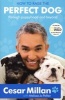 How to Raise the Perfect Dog - Through Puppyhood and Beyond (Paperback) - Cesar Millan Photo