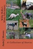 Willie Wallie's Many Adventures - A Collection of Stories (Paperback) - Anita J Moores Photo