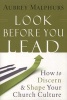 Look Before You Lead - How to Discern and Shape Your Church Culture (Paperback) - Aubrey Malphurs Photo