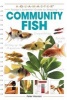 Community Fish (Paperback) - Peter Hiscock Photo