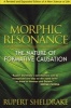 Morphic Resonance - The Nature of Formative Causation (Paperback, 4th) - Rupert Sheldrake Photo