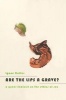 Are the Lips a Grave? - A Queer Feminist on the Ethics of Sex (Paperback, New) - Lynne Huffer Photo