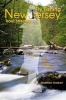 Fly Fishing New Jersey Trout Streams (Paperback) - Matthew Grobert Photo