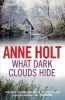 What Dark Clouds Hide (Paperback, Export/Airside ed) - Anne Holt Photo