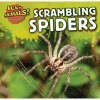 Scrambling Spiders (Paperback) - Celeste Bishop Photo