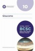 Basic and Clinical Science Course (BCSC) 2016-2017, Section 10 - Glaucoma (Paperback) - Christopher A Girkin Photo