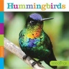 Hummingbirds (Hardcover) - Quinn M Arnold Photo