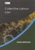 Collective Labour Law (Paperback, 2nd ed) - J Grogan Photo