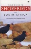 Field Guide to Shorebirds of South Africa (Paperback) - Roy Cowgill Photo