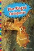 Blue-Ringed Octopuses (Hardcover) - Elizabeth Raum Photo