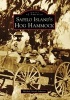 Sapelo Island's Hog Hammock (Paperback) - Michele Nicole Johnson Photo