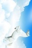 White Horse Rearing in the Clouds - Blank 150 Page Lined Journal for Your Thoughts, Ideas, and Inspiration (Paperback) - Unique Journal Photo