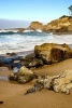 Rocks and Waves on Lighthouse Beach Oregon USA Journal - 150 Page Lined Notebook/Diary (Paperback) - Cs Creations Photo