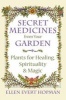 Secret Medicines from Your Garden - Plants for Healing, Spirituality and Magic (Paperback) - Ellen Evert Hopman Photo