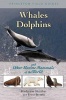 Whales, Dolphins, and Other Marine Mammals of the World (Paperback) - Hadoram Shirihai Photo