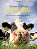 Steiner & Woods EU Law (Paperback, 12th Revised edition) - Lorna Woods Photo