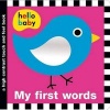 Touch and Feel First Words (Board book) - Holly Jackson Photo