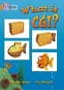 What is CGI? - Band 06/Orange (Paperback) - Alison Sage Photo