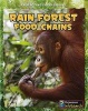 Rain Forest Food Chains (Paperback) - Heidi Moore Photo