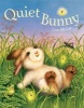 Quiet Bunny (Paperback) - Lisa McCue Photo