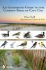 An Illustrated Guide to the Common Birds of Cape Cod (Paperback) - Peter Trull Photo