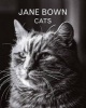 : Cats (Hardcover, Main) - Jane Bown Photo