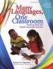 Many Languages, One Classroom - An Essential Literacy Tool (Paperback, New) - Karen Nemeth Photo